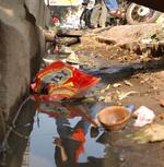 Day 5 – This is… Varanasi, India(#1448), Wed 19 December 2007