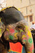 Day 8 – Jaipur, India(#1477)