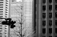 Shinjuku City (#1960), Thu 14 May 2009