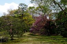 Rikugien Garden (六義園)(#3400), Tue 23 April 2013