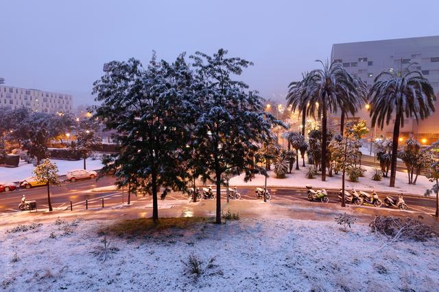 Snowing in Barcelona 2013-02-23(#3674)