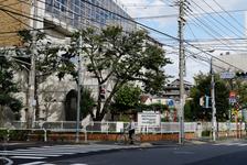 Arakawa City (#3848), Sat 19 July 2014