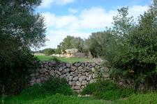 Menorca (#6363)