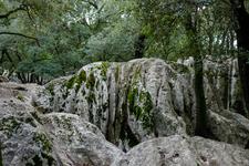 Lluc (#6403), Sat 31 May 2025