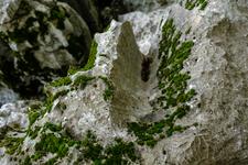 Lluc (#6408), Thu 05 June 2025