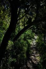 Illes Balears (#6415), Thu 12 June 2025