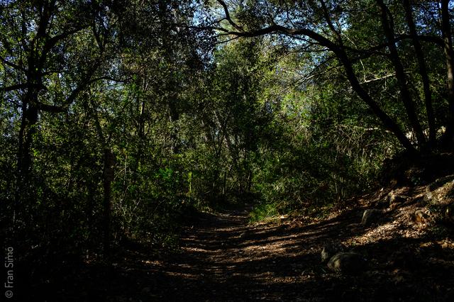 Illes Balears (#6414)