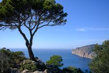 Cala Fornells (#6444)