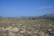 Son Serra de Marina (#6447), Mon 14 July 2025
