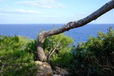 Illes Balears (#6450), Thu 17 July 2025