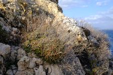 Portals Vells (#6451), Fri 18 July 2025