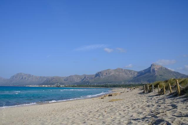 Son Serra de Marina (#6446)