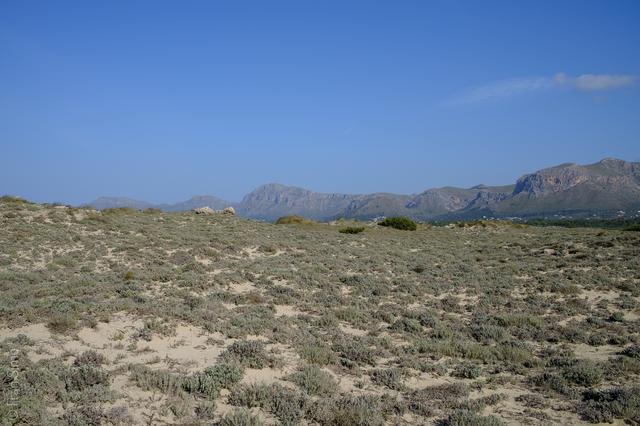 Son Serra de Marina (#6447)