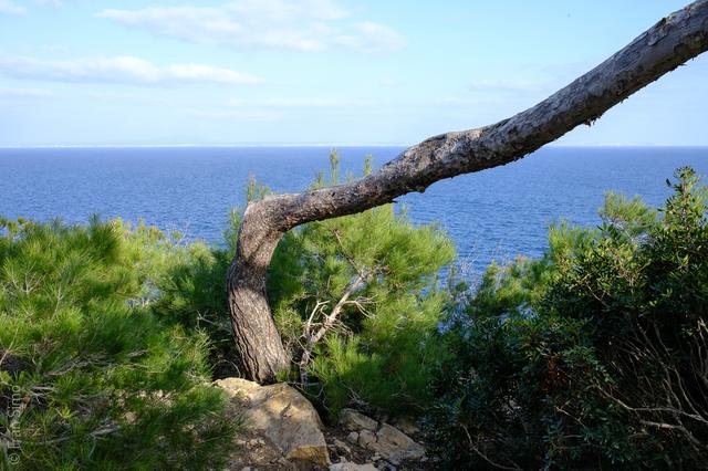 Illes Balears (#6450)