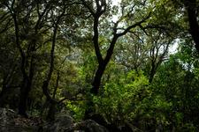Illes Balears (#6461)