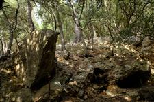 Illes Balears (#6462)