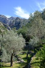 Illes Balears (#6469), Tue 05 August 2025