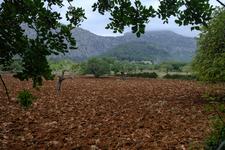 Illes Balears (#6473), Sat 09 August 2025