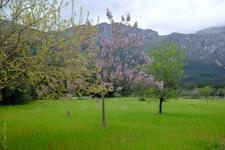 Illes Balears (#6477)