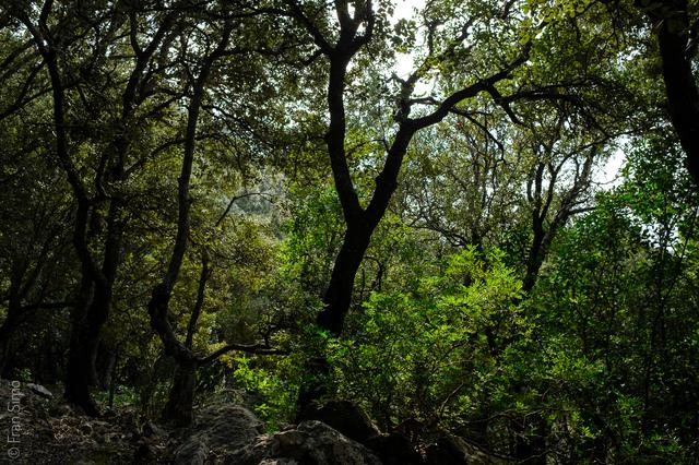 Illes Balears (#6461)