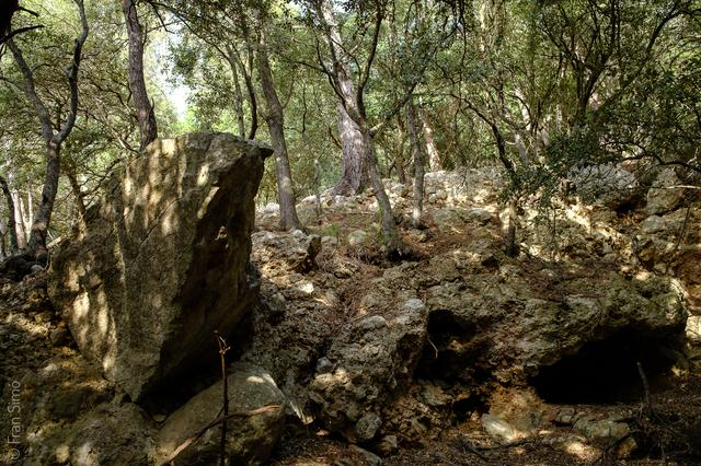Illes Balears (#6462)