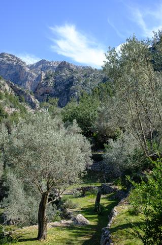 Illes Balears (#6469)