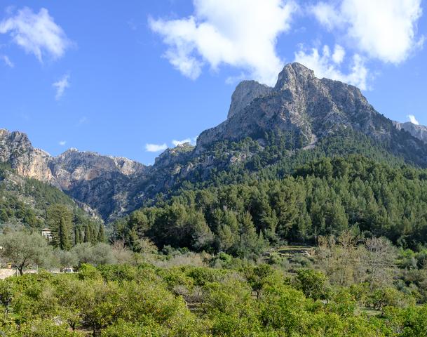 Biniaraix (#6470)
