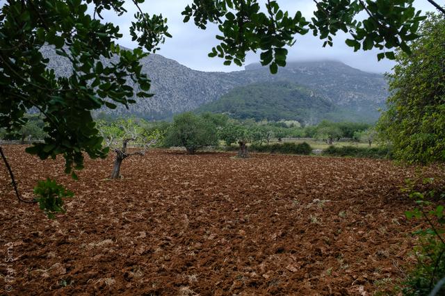 Illes Balears (#6473)