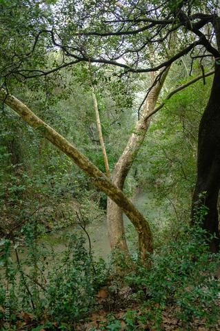 Illes Balears (#6474)