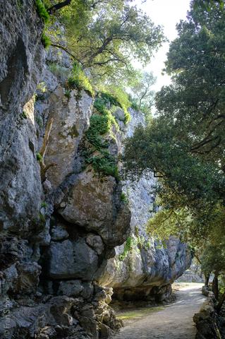 Illes Balears (#6490)