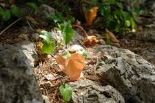 Illes Balears (#6525)