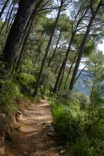 Illes Balears (#6530)