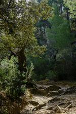 Illes Balears (#6531)