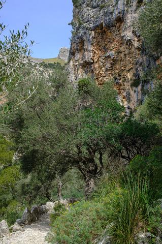 Illes Balears (#6523)
