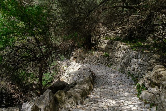 Illes Balears (#6524)