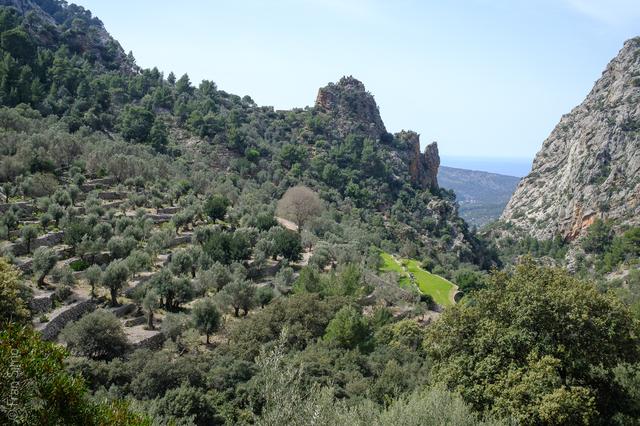 Illes Balears (#6526)