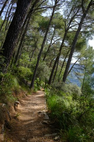 Illes Balears (#6530)