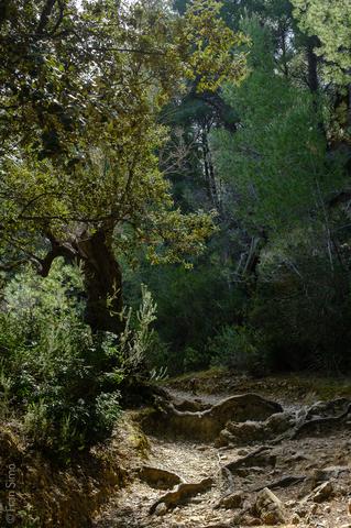 Illes Balears (#6531)