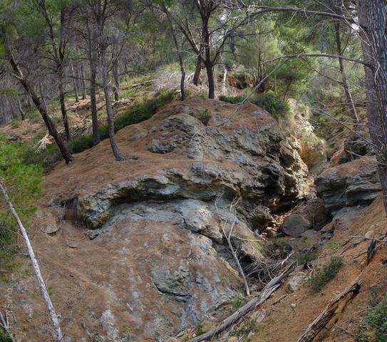 Llucalcari (#6543)