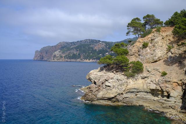 Deià (#6544)