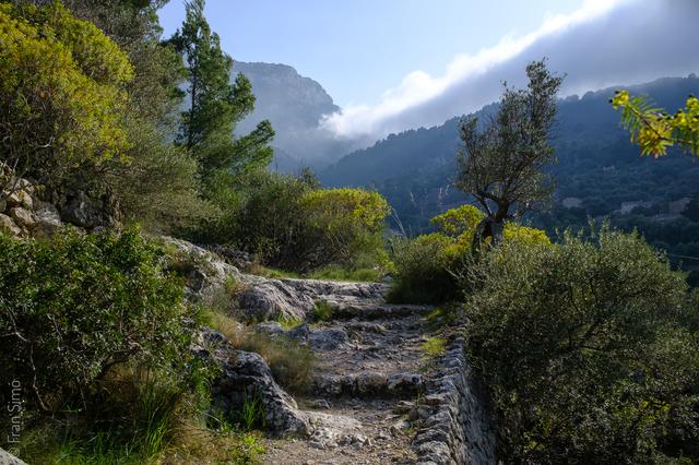 Deià (#6550)