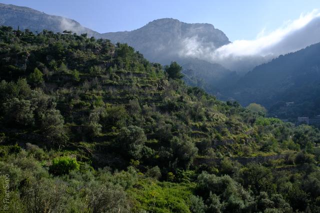 Deià (#6551)