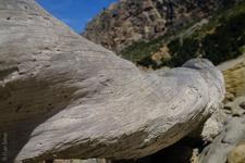 Port de Pollença (#6574), Tue 18 November 2025