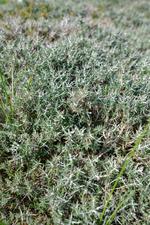 Port de Pollença (#6576)