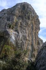 Port de Pollença (#6579), Sun 23 November 2025