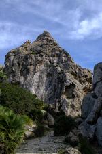 Port de Pollença (#6580)
