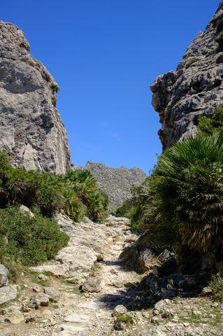 Port de Pollença (#6568)