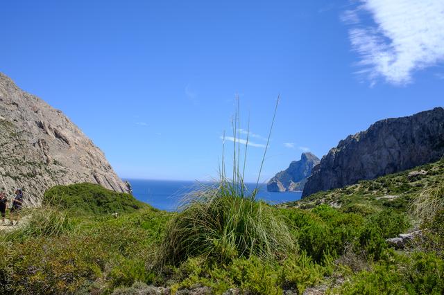 Port de Pollença (#6569)