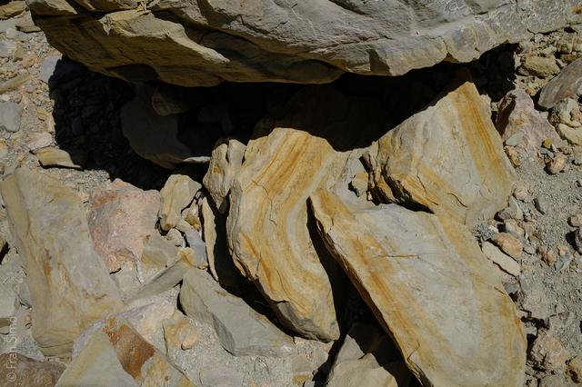 Port de Pollença (#6571)