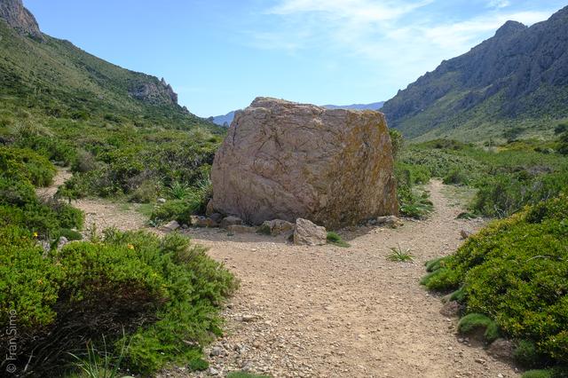 Port de Pollença (#6575)